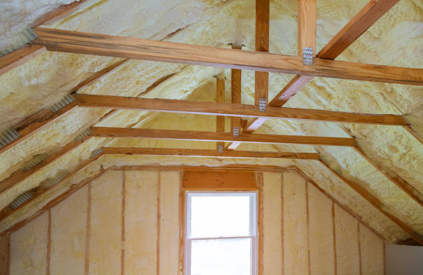 Best Eco-Friendly Insulation in Alice, TX