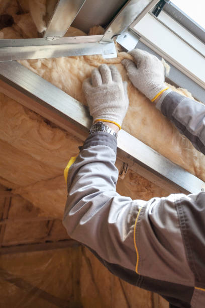 Best Insulation Maintenance and Repair in Alice, TX