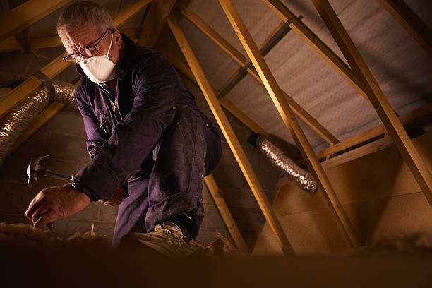 Best Energy Efficiency Insulation in Alice, TX